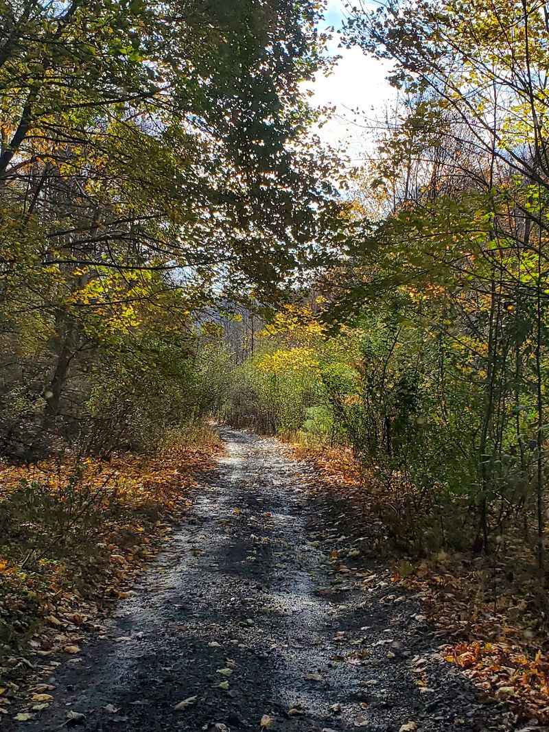 Room To Breathe On Trails That Rarely Feel Crowded