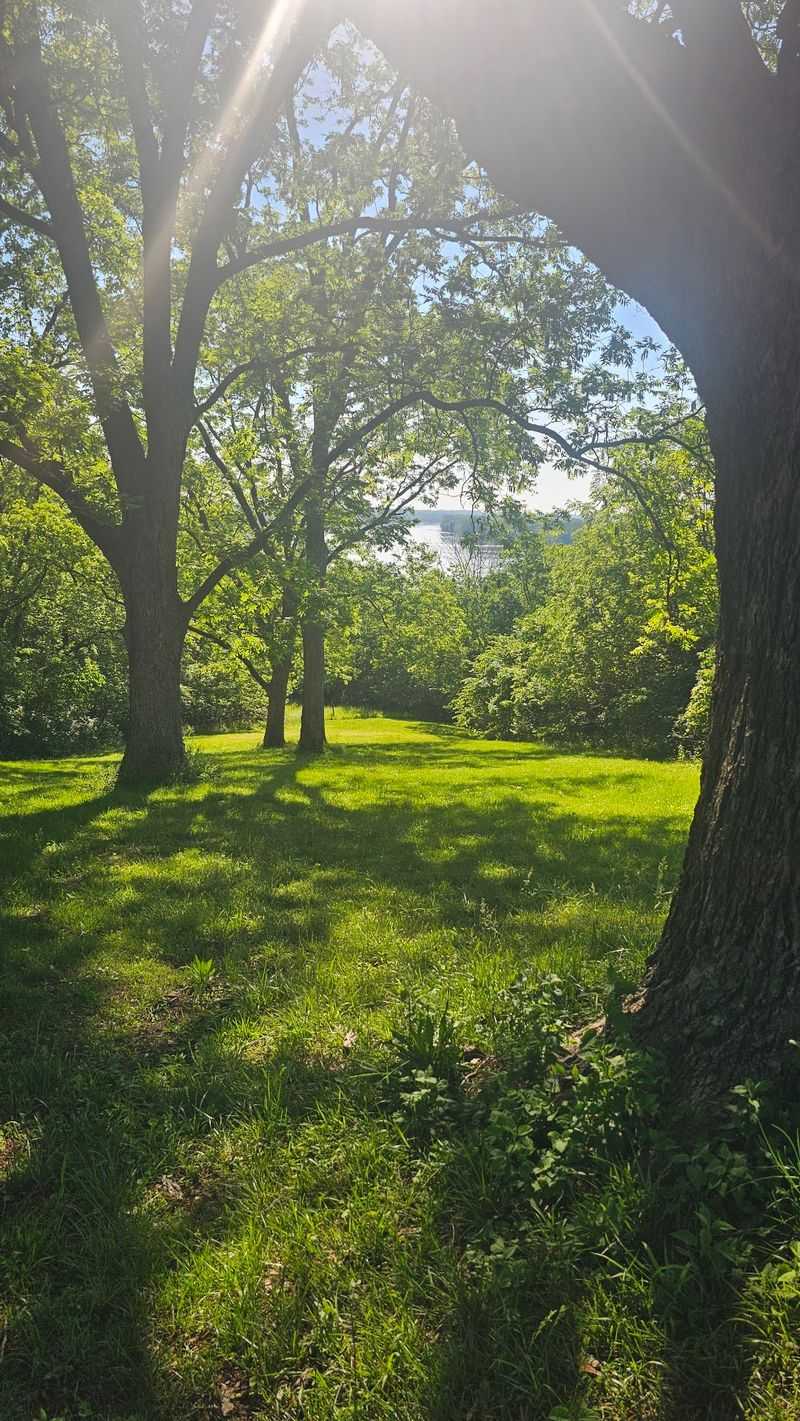 Room To Wander, Picnic, And Breathe