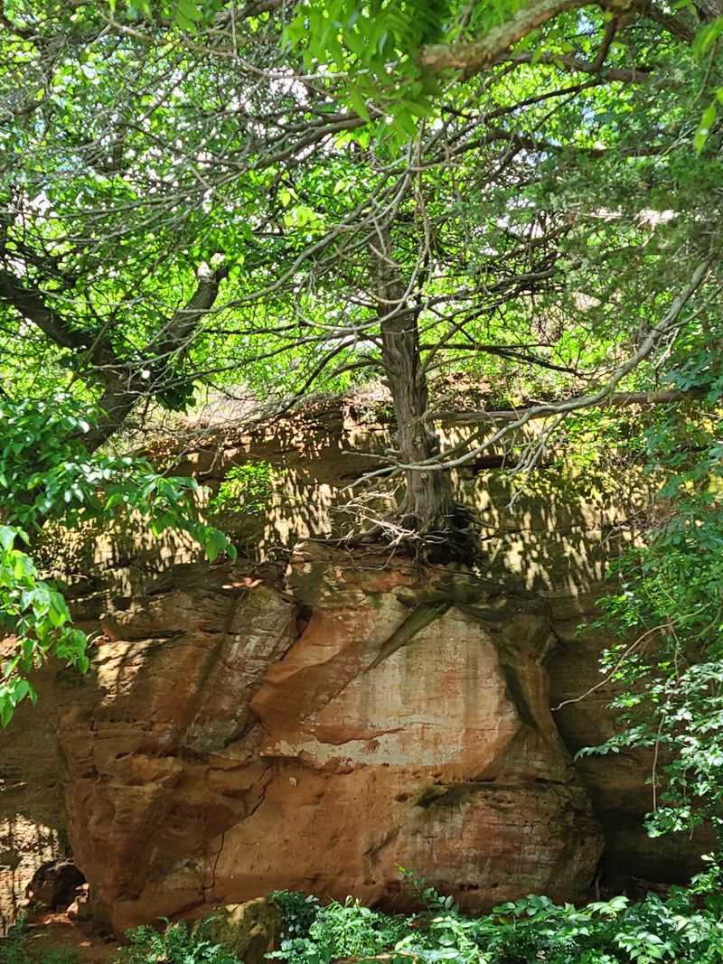 Ropes, Rappelling, and Rock Climbing