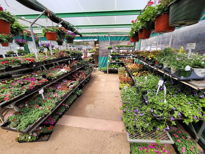 Rows and Rows of Plants Built for Texas