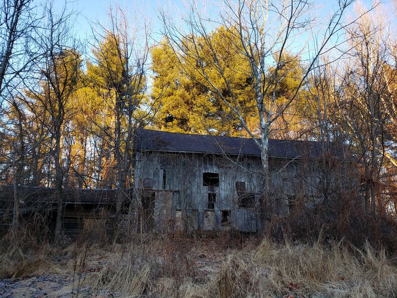 Ruins of Locust Villa Stand Right Along the Path