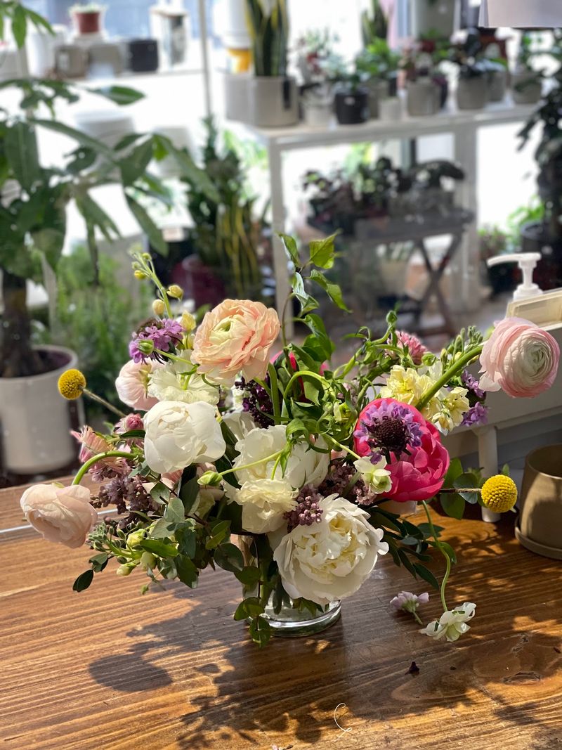 SOHO Flower & Garden