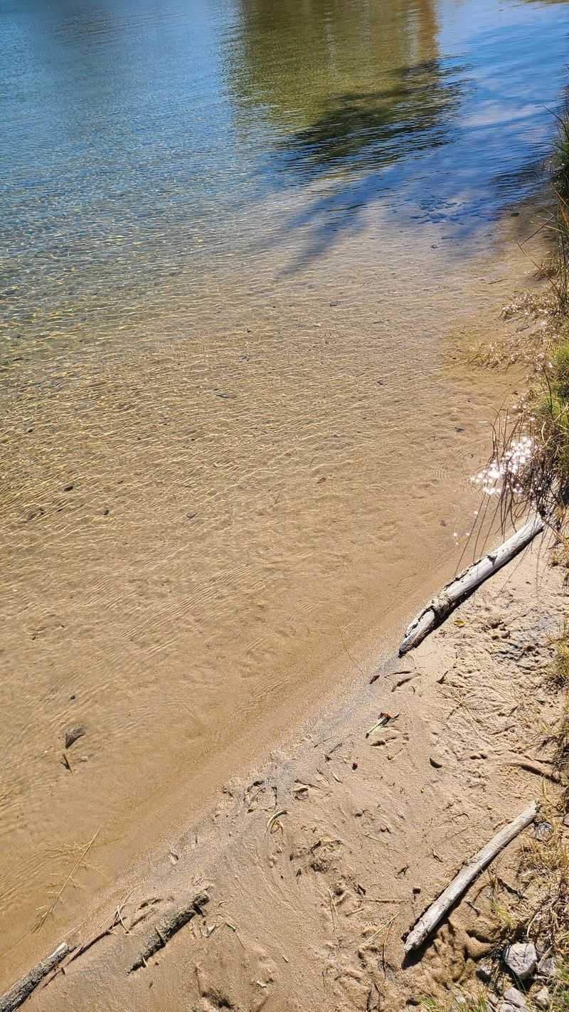 Sand Between Your Toes, Inside a Pool Sand Between Your Toes, Inside a Pool