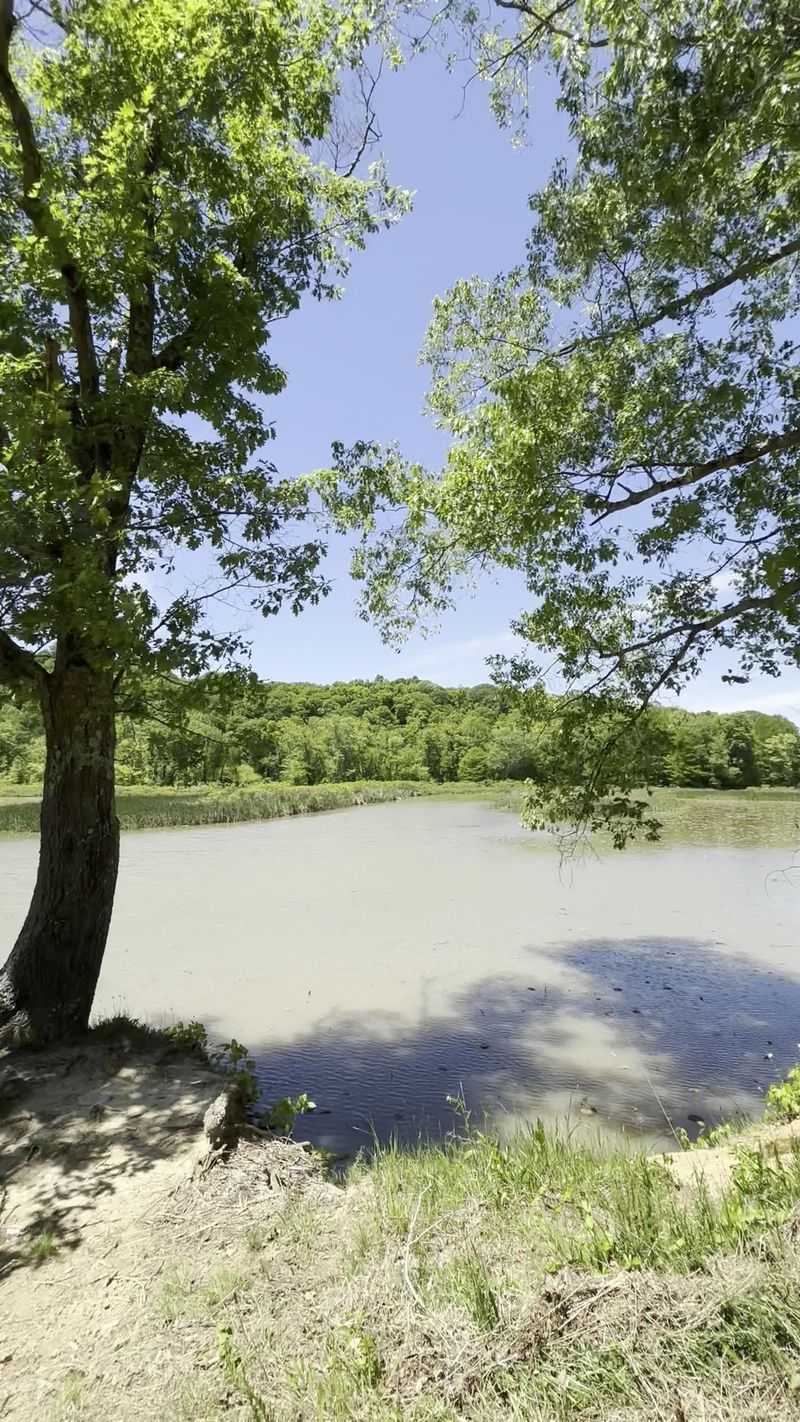 Sand, Shallows, and a Famous Half Mile