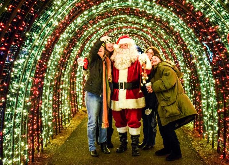 Santa, Plus a Mischievous Alpine Visitor Santa, Plus a Mischievous Alpine Visitor