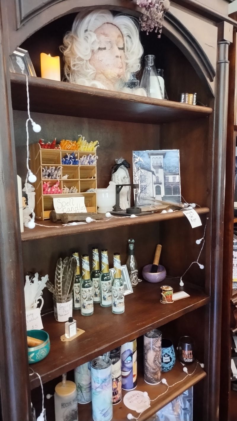 Save Room In Your Bag For The Curiosity Shop Save Room In Your Bag For The Curiosity Shop