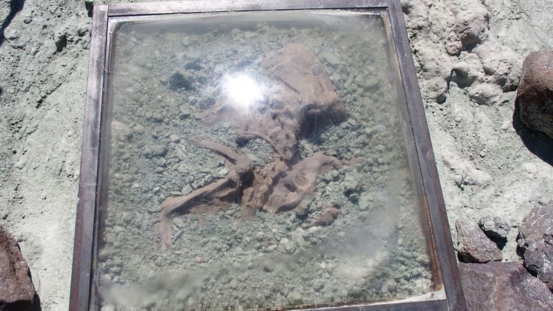 Save Time For The Fossil Center Just Down The Road