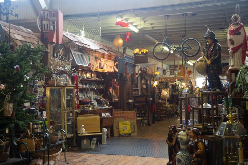 Say Hello To Lenny And Penny While You Browse
