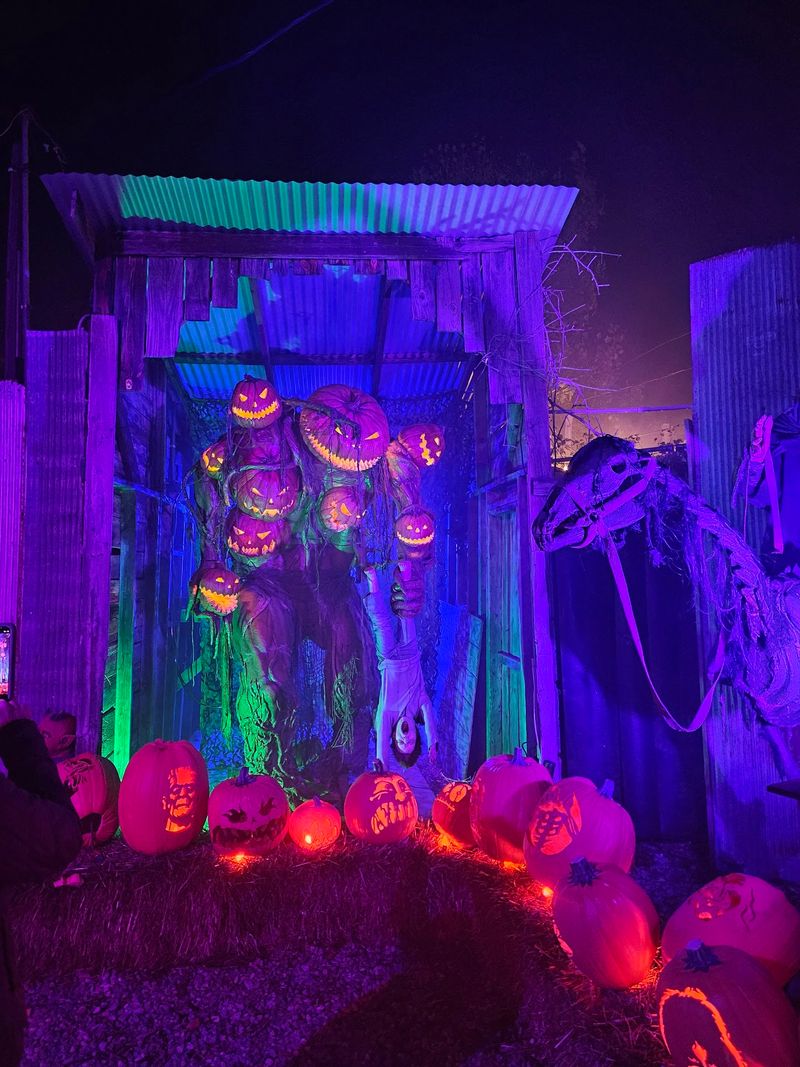 Scarecrows Get A Brand-New Reason To Stare At You In 2026 Scarecrows Get A Brand-New Reason To Stare At You In 2026