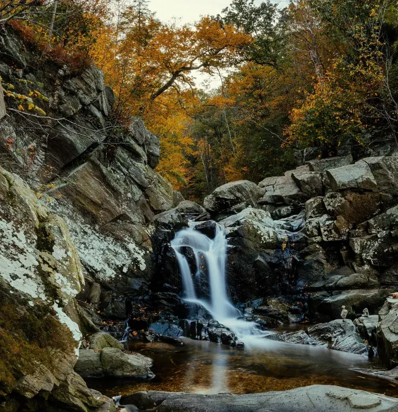 Scott’s Run Nature Preserve