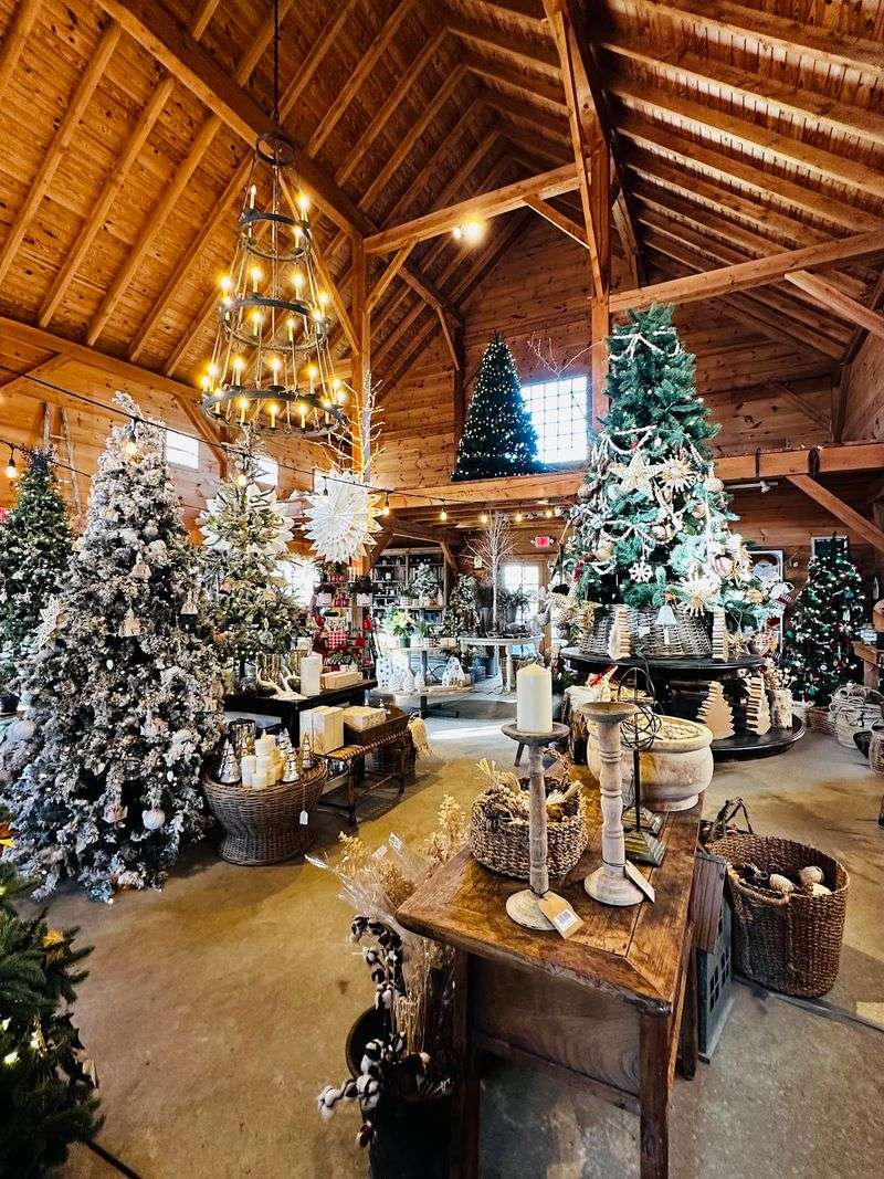 Seasons That Change Everything Seasons That Change Everything