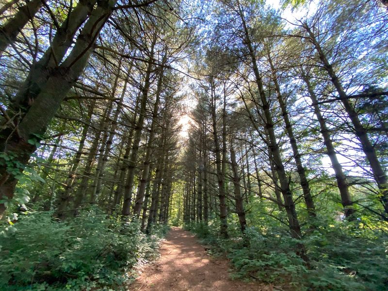 Seven Miles of Trails Make Every Walk Feel Different Seven Miles of Trails Make Every Walk Feel Different