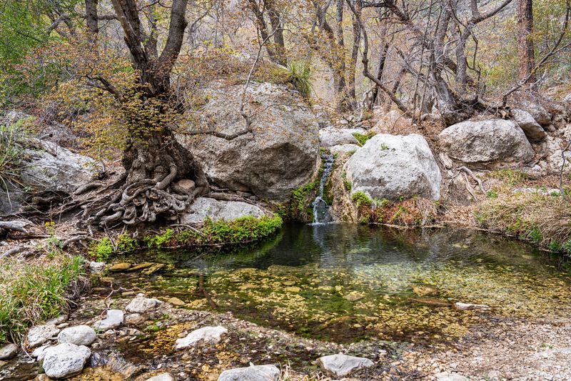Shade, Ferns, And A Tiny Waterfall Are Waiting At The Top Shade, Ferns, And A Tiny Waterfall Are Waiting At The Top