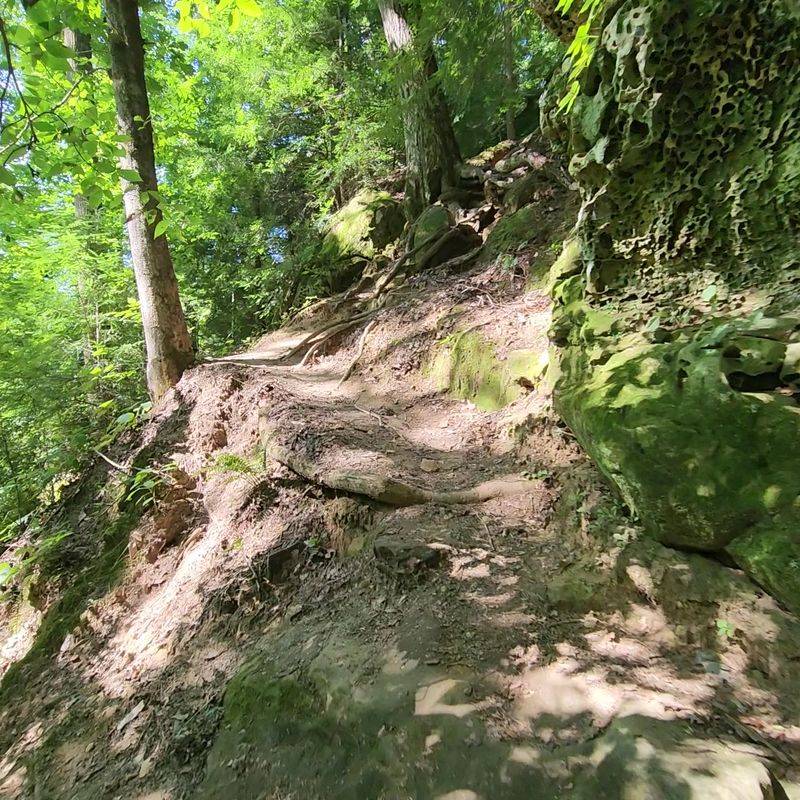 Shortcuts Off The Trail Leave Scars That Stick Around