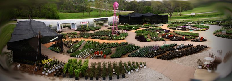 Shrubs, Native Plants, And Zone-Hardy Picks Grown With Care