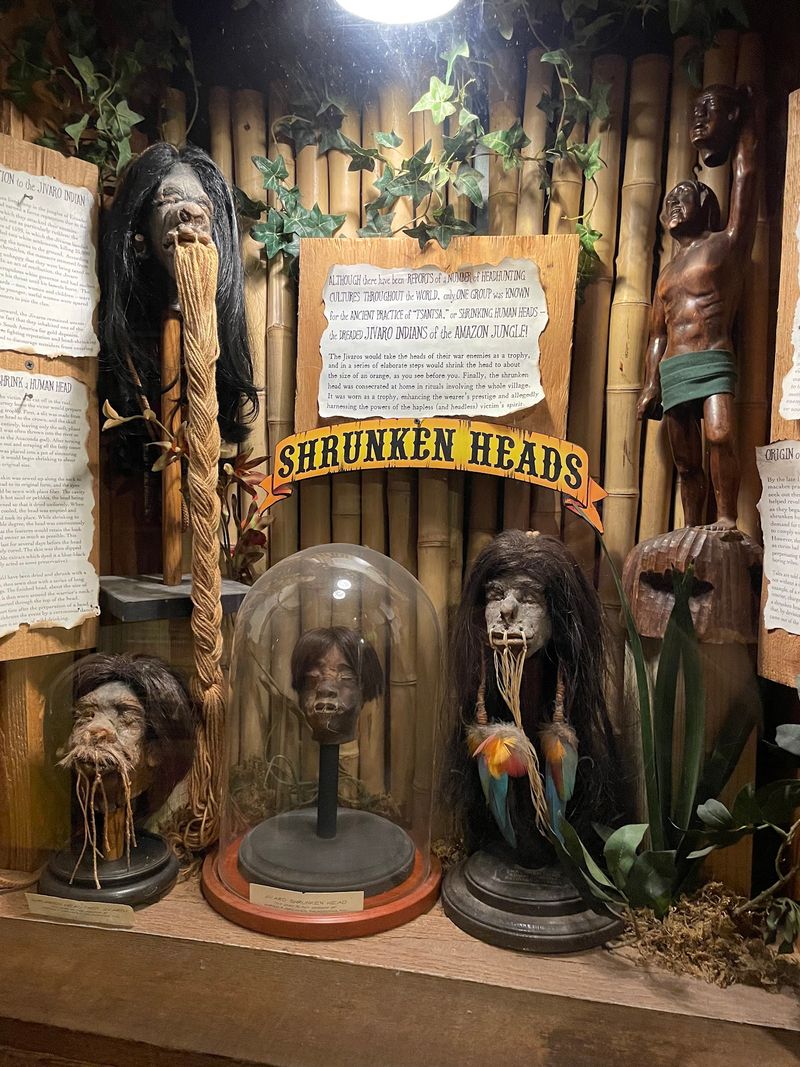 Shrunken Heads, Mummies, and a Famous Mermaid