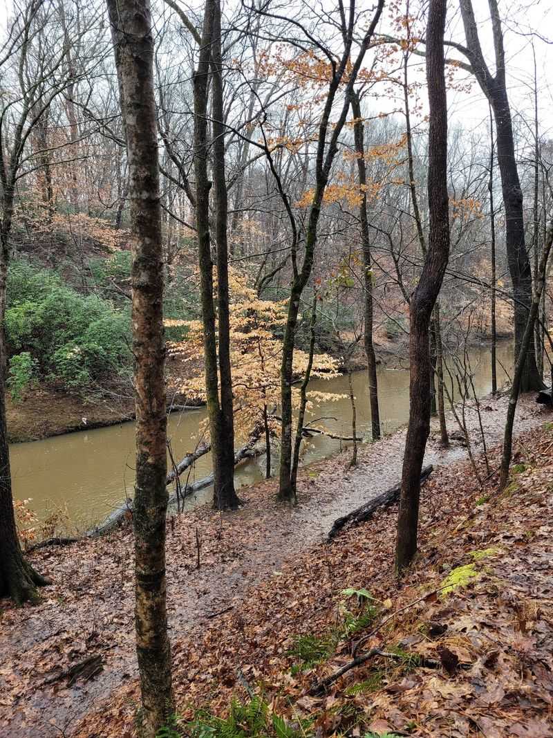 Side Trails Down to the Eno River Side Trails Down to the Eno River
