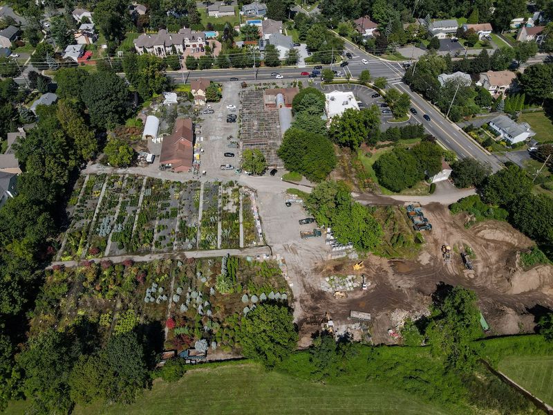 Six Green Acres In A Shopping Hub Is A Rare Sight