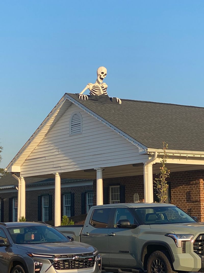 Skeletons Dance While Movies Come To Life