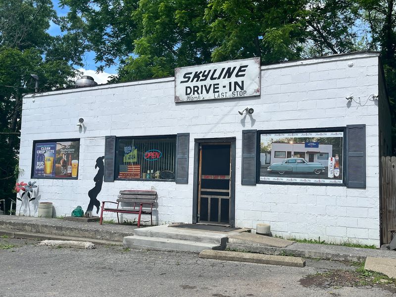 Skyline Drive In Skyline Drive In