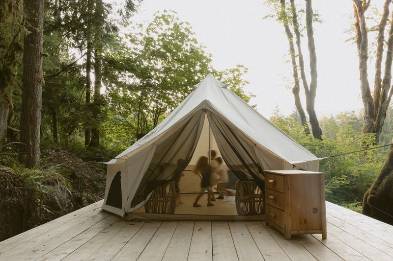 Sleep Steps Away From The Cow Pasture In A Lodge, Cottage, Or Bell Tent Sleep Steps Away From The Cow Pasture In A Lodge, Cottage, Or Bell Tent