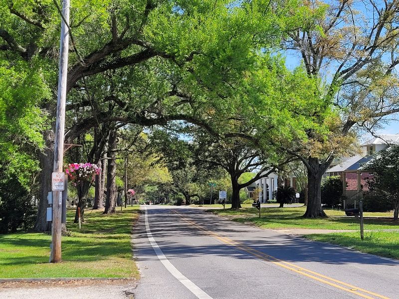 Slow Afternoons Under the Oaks