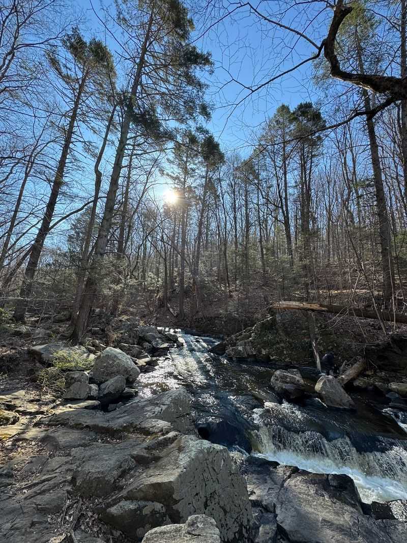 Snow Turns The Mountain Into A Winter Playground Snow Turns The Mountain Into A Winter Playground