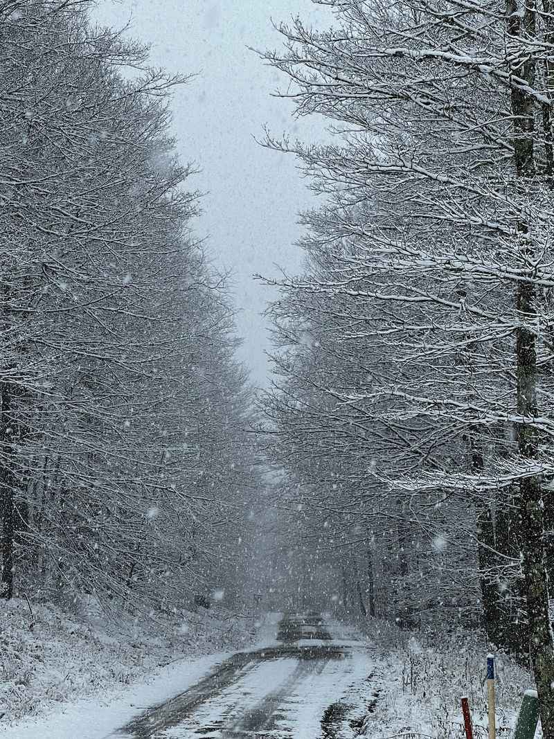 Snowshoes, Ski Tracks, And A Winter Plan B Snowshoes, Ski Tracks, And A Winter Plan B