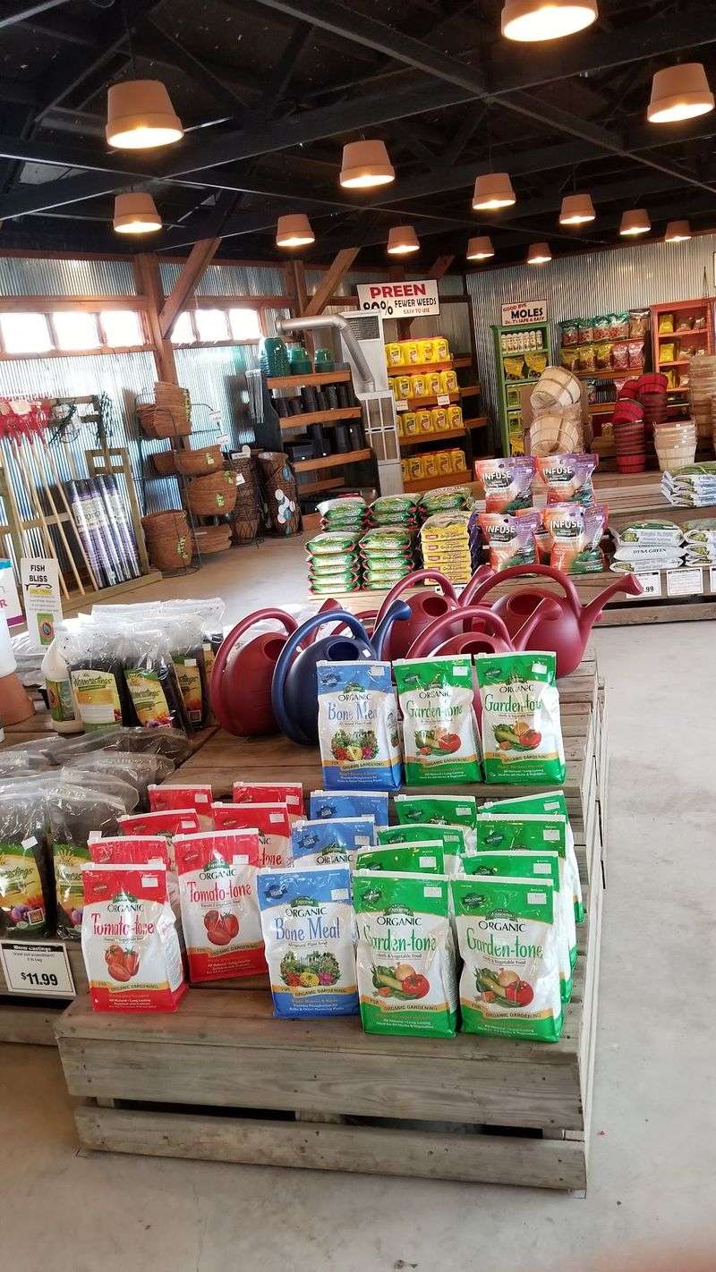 Soil, Mulch, And Lawn Care That Set The Foundation