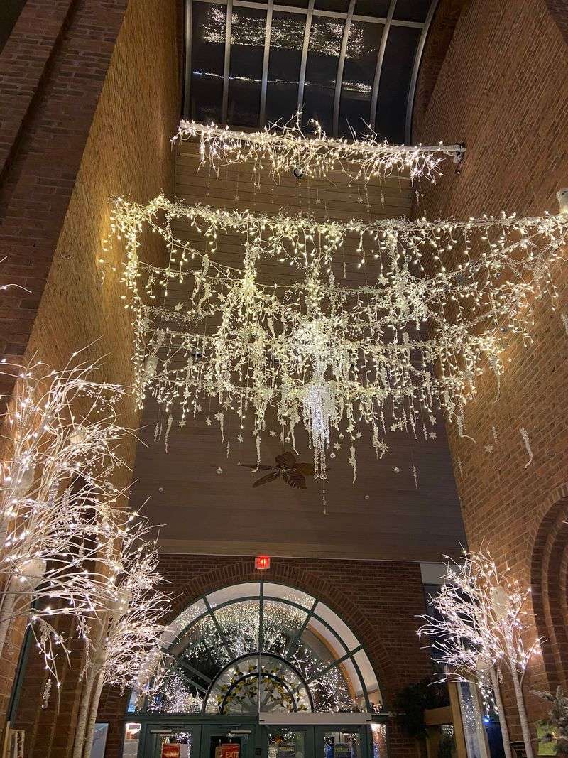 Some Of These Lights Refuse To Sit Still Some Of These Lights Refuse To Sit Still