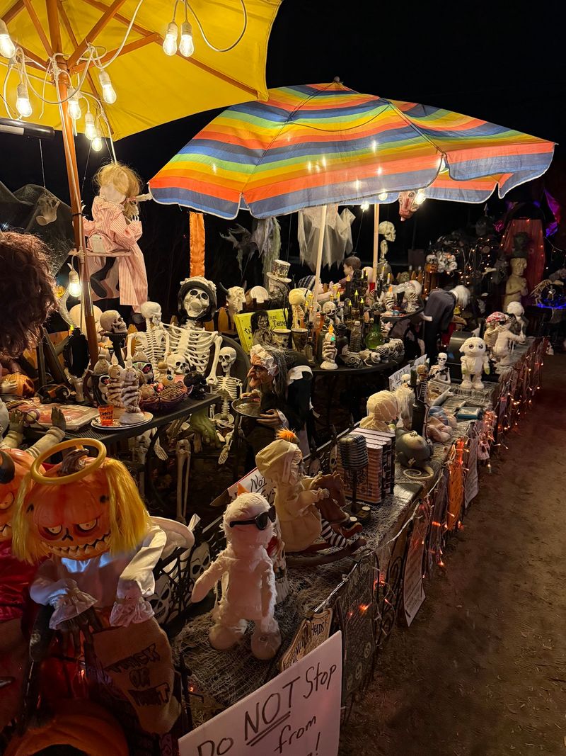 Somebody Set The Table For A Skeleton Dinner Party