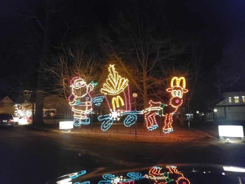 Somebody in Your Car Should Be on Reindeer Duty