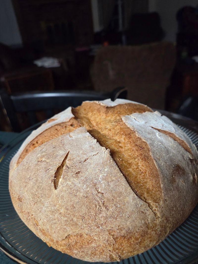 Sourdough Worth Writing Home About