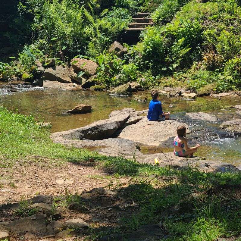 Splashing Around in Rocky Brook Creek Splashing Around in Rocky Brook Creek