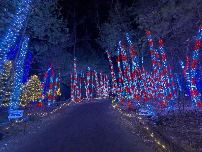 Spooky Season and Glowing Holiday Lights