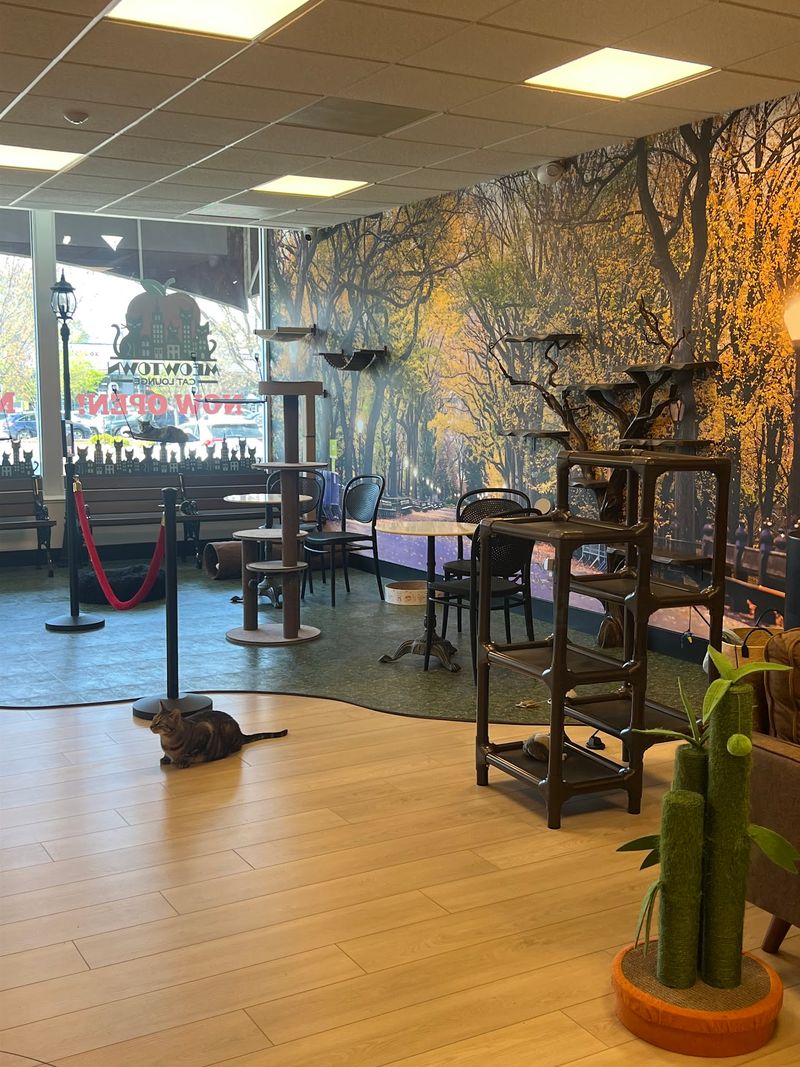 Spotless Floors And No Mystery Smells Spotless Floors And No Mystery Smells