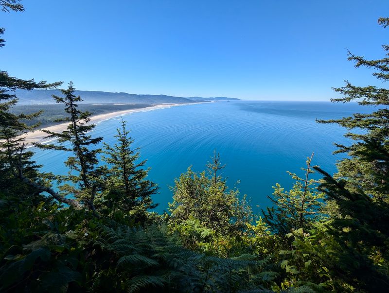 Spotting Whales From 800 Feet Up Is A Real Possibility