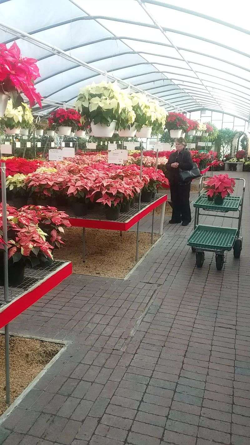 Staff Who Actually Know Their Stuff
