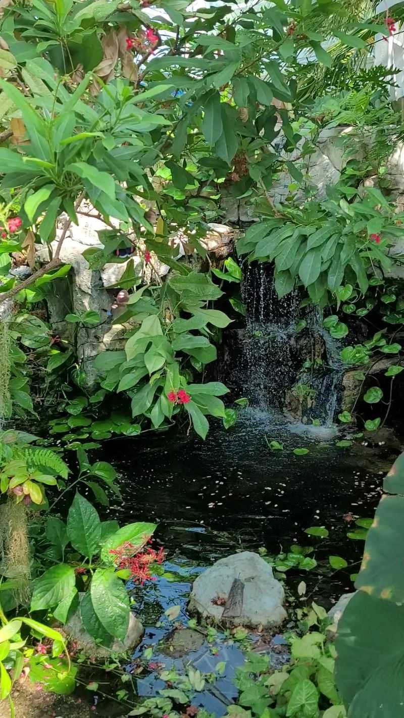 Stepping Into Warm Jungle Air Stepping Into Warm Jungle Air