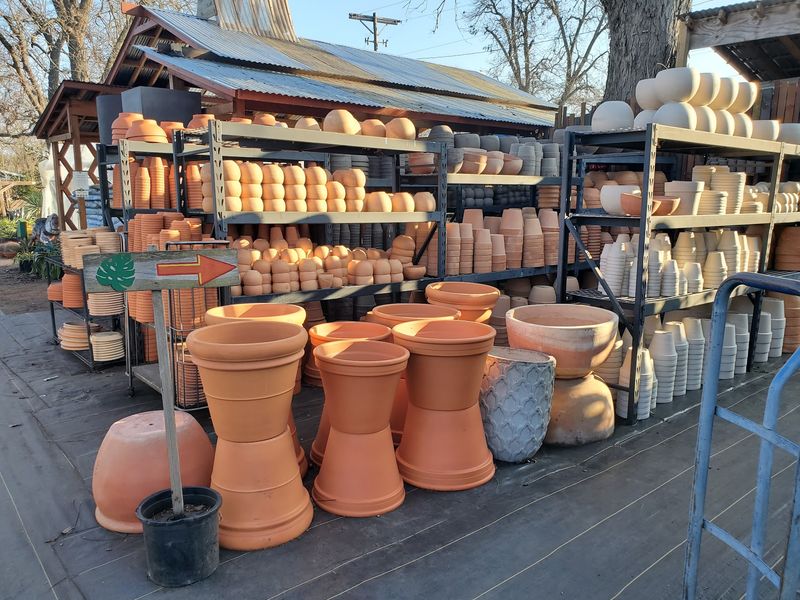 Stock Up On The Stuff That Keeps Succulents Happy Stock Up On The Stuff That Keeps Succulents Happy