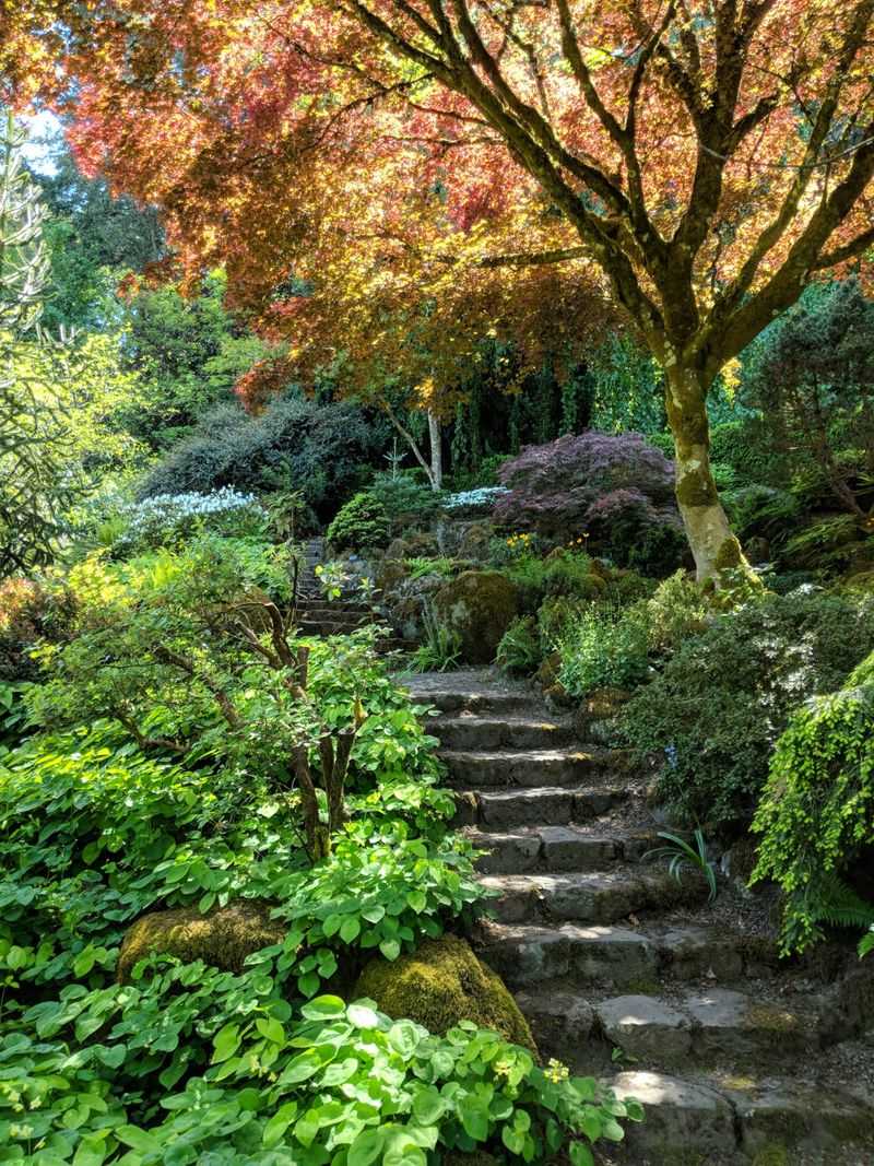 Stone Paths That Twist and Wander Stone Paths That Twist and Wander