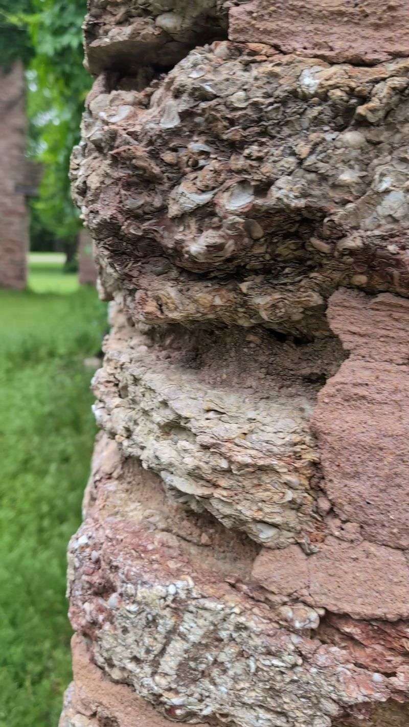 Stone Walls and Their Secret Fossils Stone Walls and Their Secret Fossils