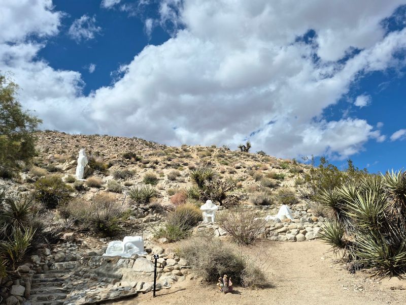 Stories Scattered Among the Cactus Stories Scattered Among the Cactus