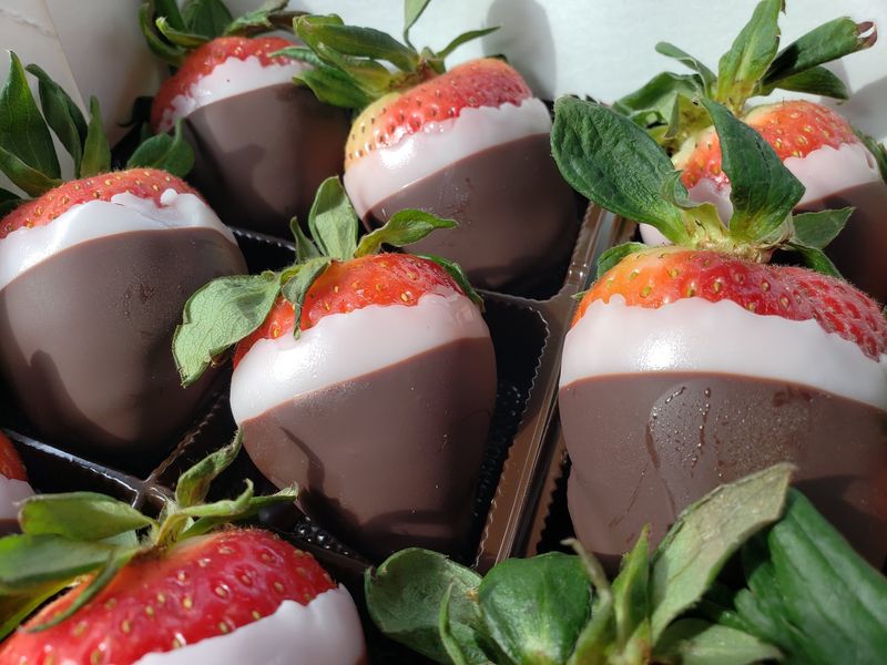 Strawberry Season, a Valley Rite of Spring