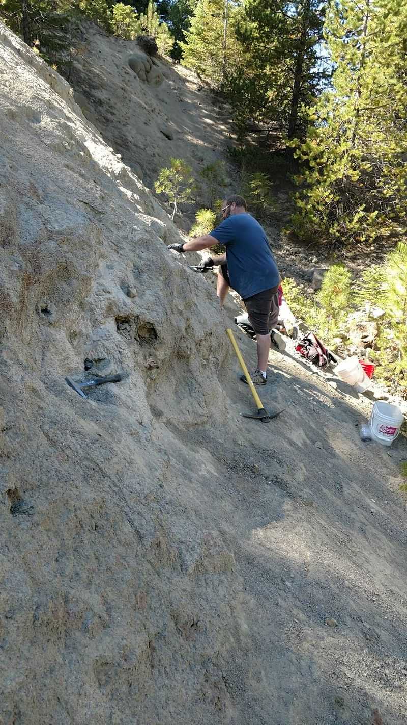Stretch The Fun Into A Weekend Under Oregon Pines