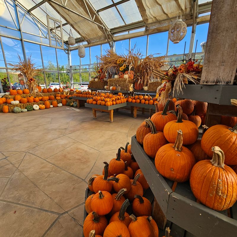 Stuckmeyer's Farm Market