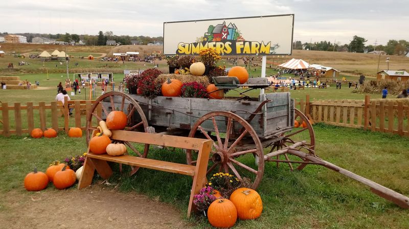 Summers Farm, Middletown Summers Farm, Middletown