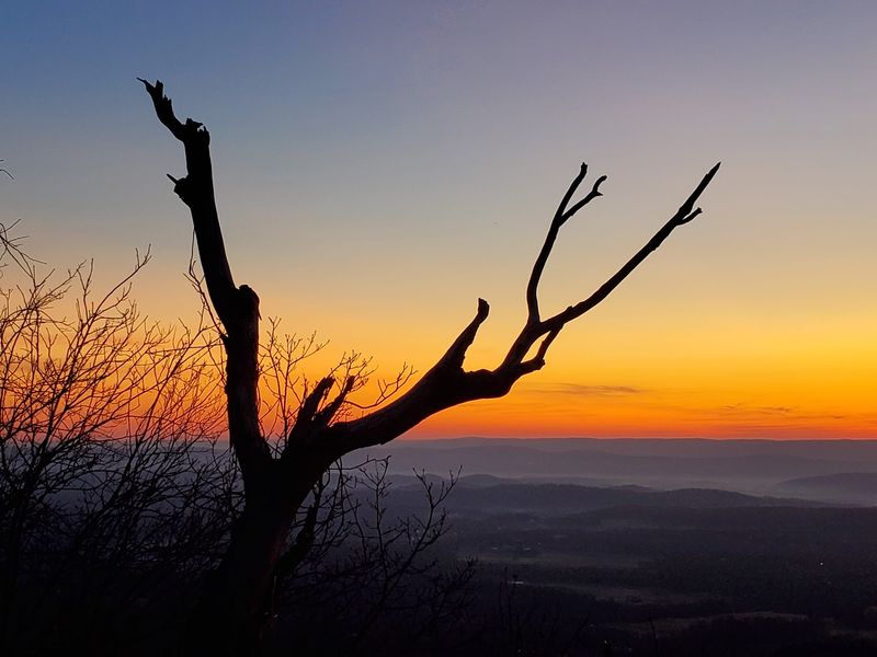 Sunrise, Sunset, and Everything Between Sunrise, Sunset, and Everything Between