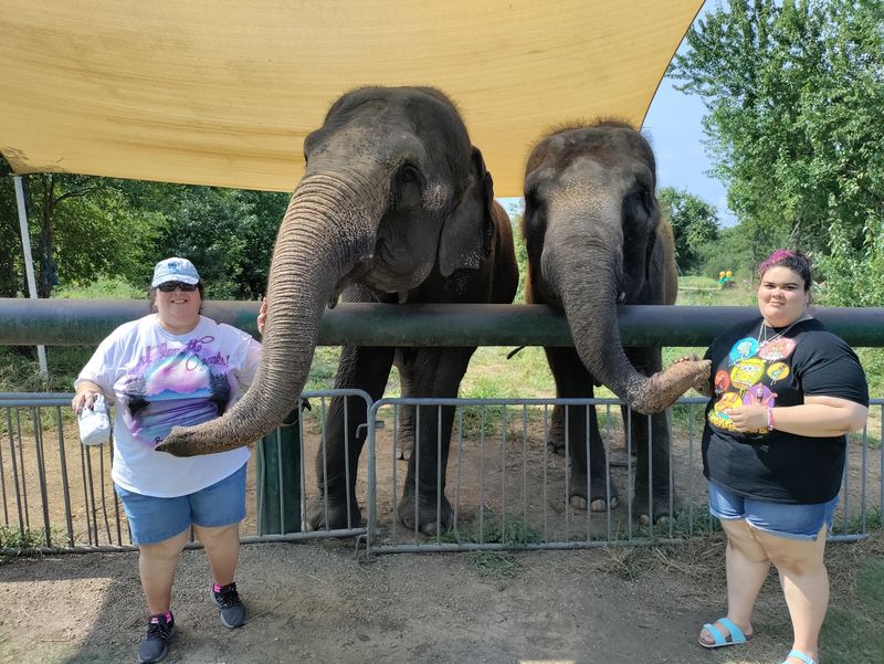 Suzy, Tommy, and the Rest of the Herd
