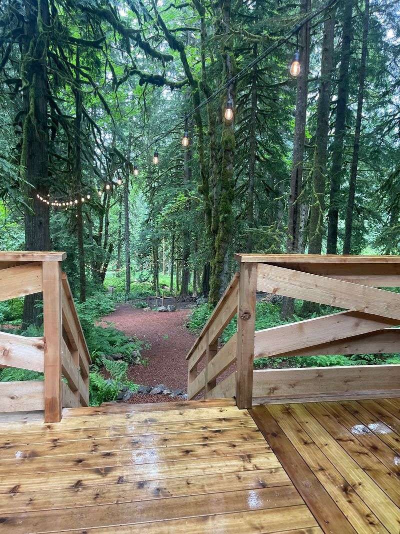 Sweat It Out In A Forest Sauna Then Brave The Cold Plunge Sweat It Out In A Forest Sauna Then Brave The Cold Plunge